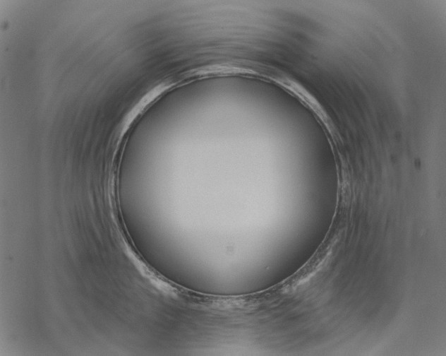 X0000068840909200605261637