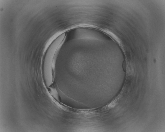 X0000068840910200605261637