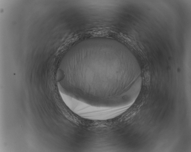 X0000068840913200605261636