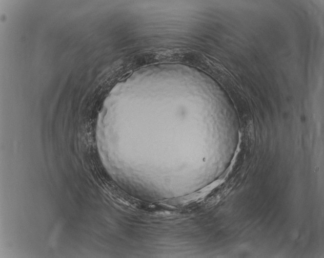 X0000068840914200605261636