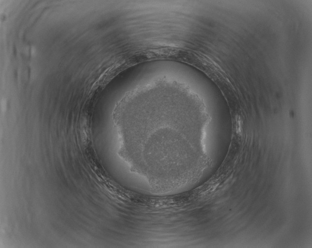 X0000068840915200605261636