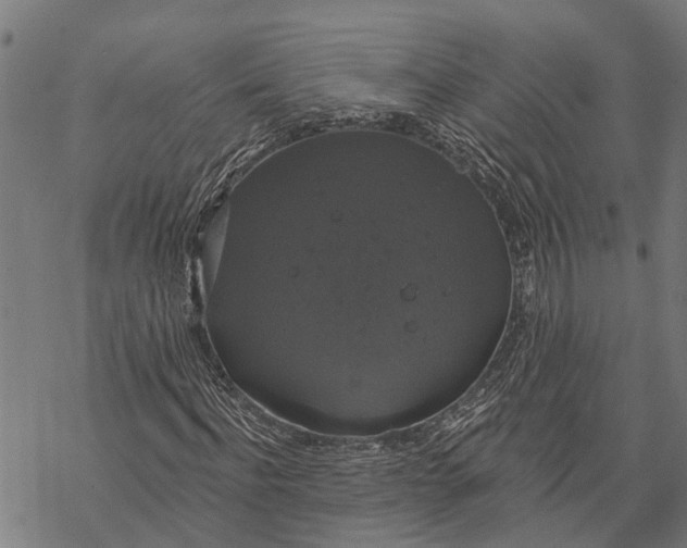 X0000068840916200605261636