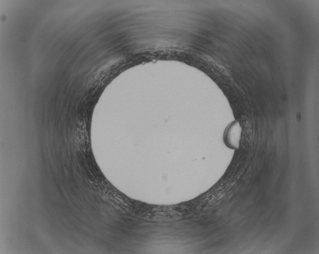 X0000068840918200605261636