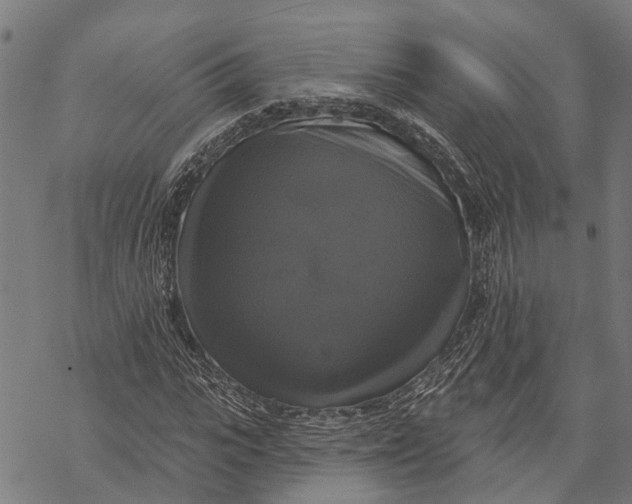 X0000068840919200605261636