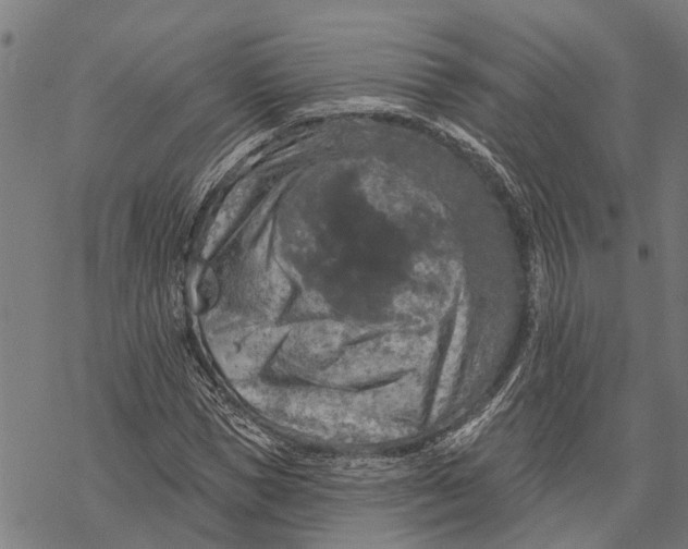 X0000068840921200605261636