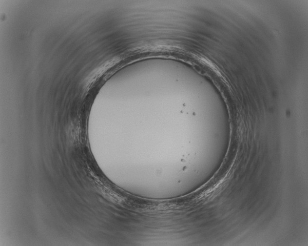 X0000068840922200605261636