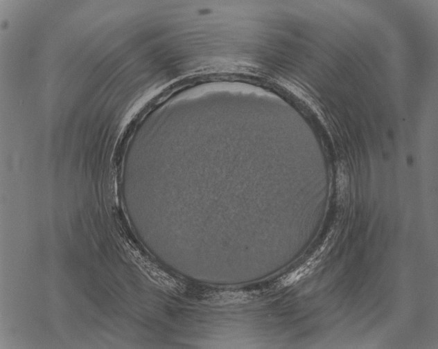 X0000068840925200605261637