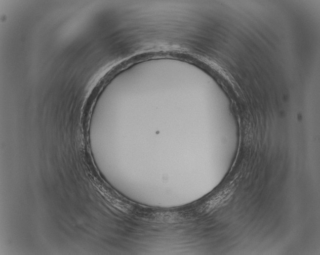 X0000068840927200605261637