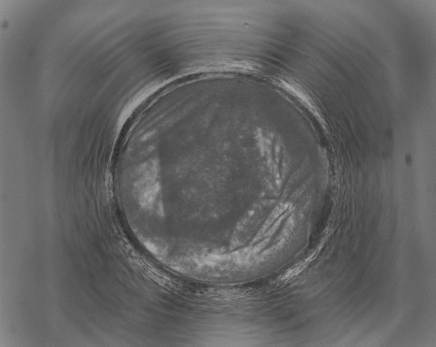 X0000068840928200605261637