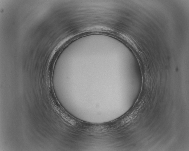 X0000068840931200605261637