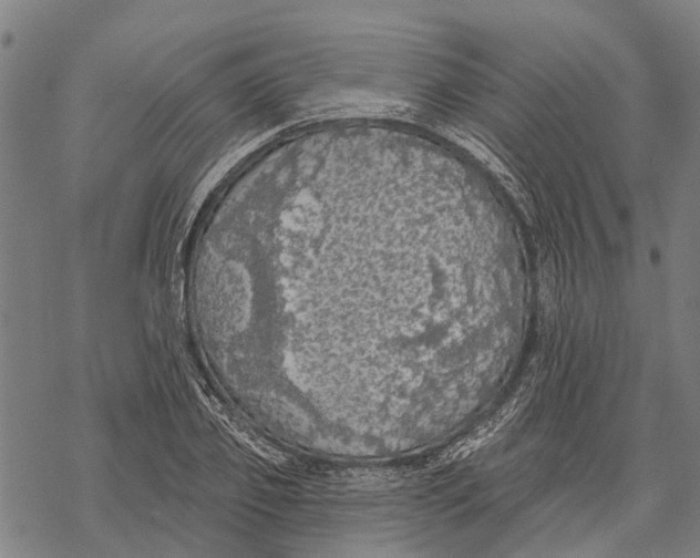 X0000068840933200605261637