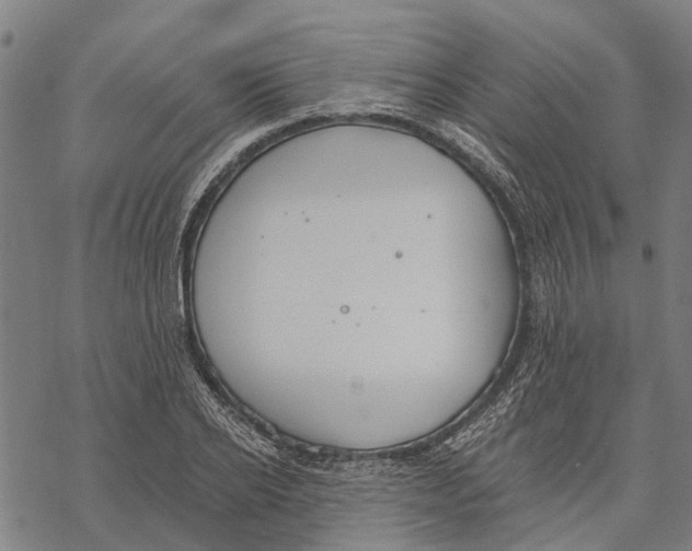 X0000068840934200605261637