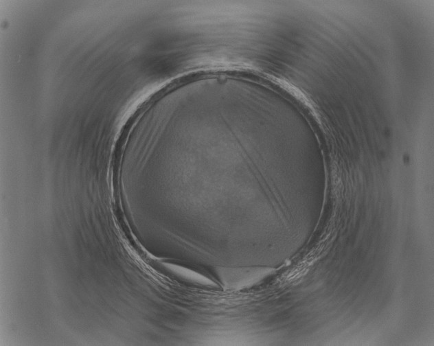 X0000068840935200605261637