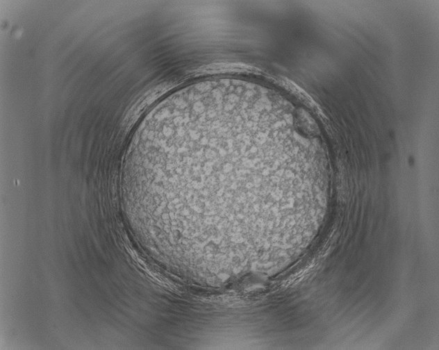 X0000068840937200605261637