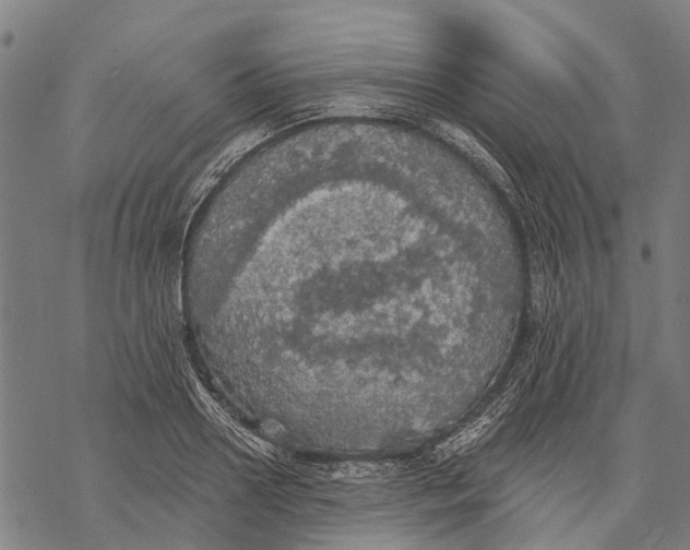 X0000068840938200605261637