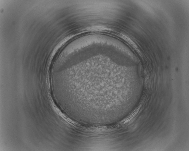 X0000068840939200605261637