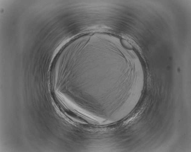 X0000068840941200605261637