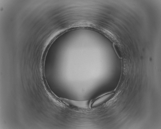 X0000068840942200605261637