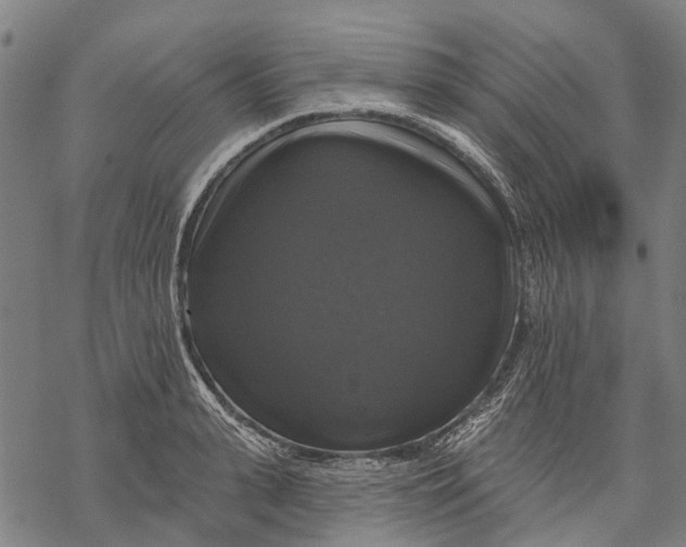 X0000068840943200605261637