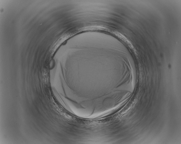 X0000068840945200605261637