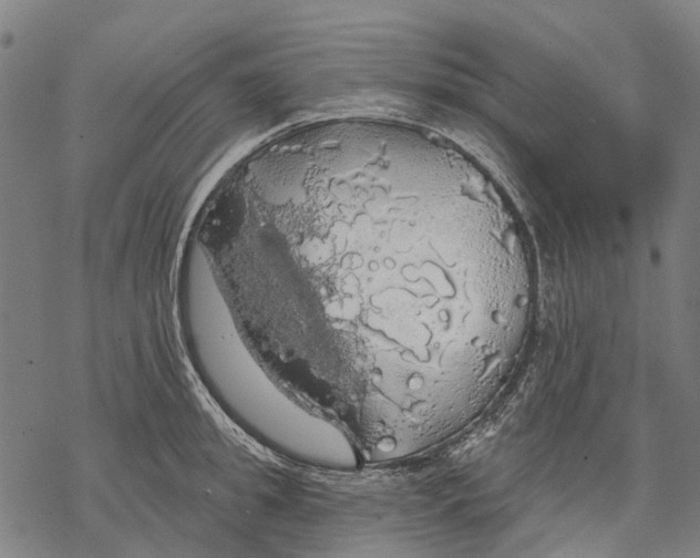 X0000068840949200605261637