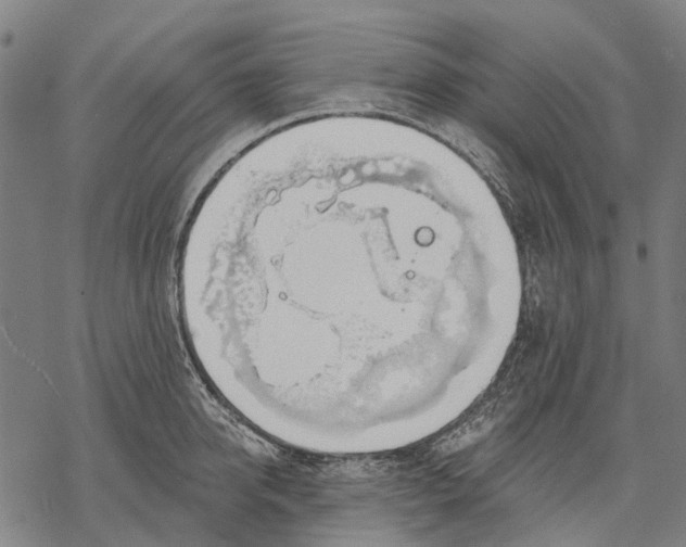 X0000068840950200605261637