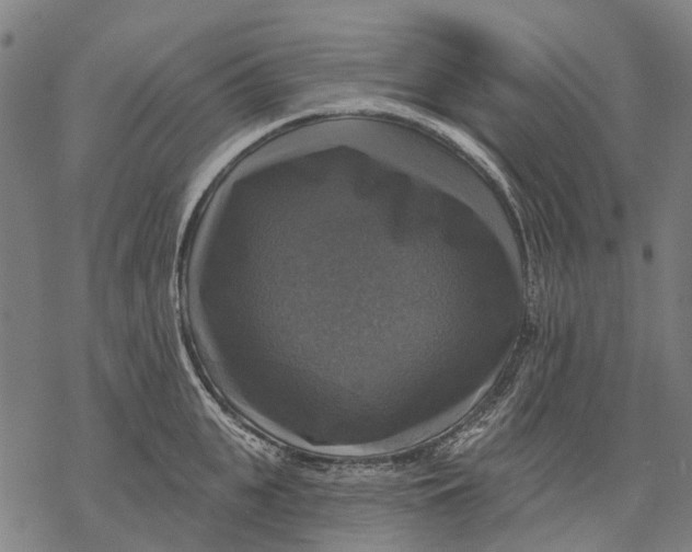 X0000068840951200605261637