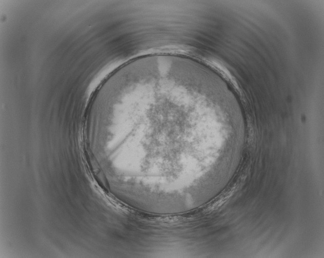 X0000068840952200605261637