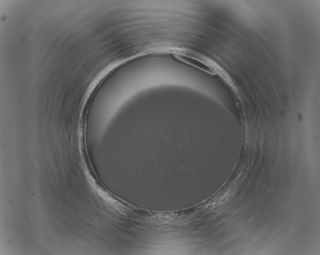 X0000068840955200605261637