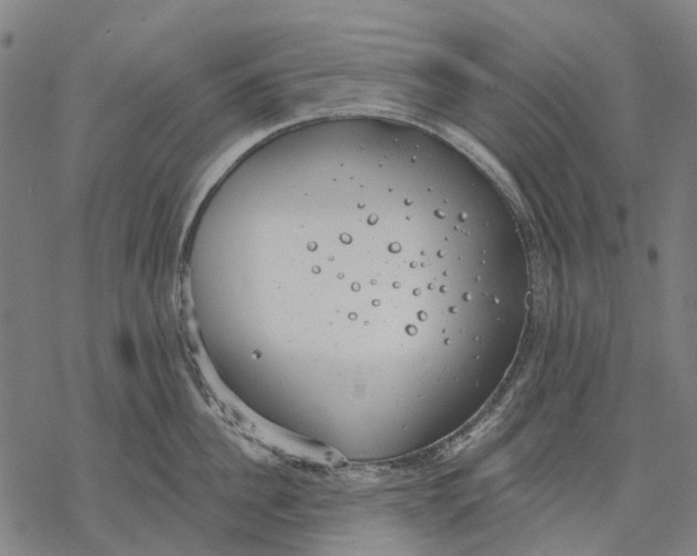 X0000068840956200605261637