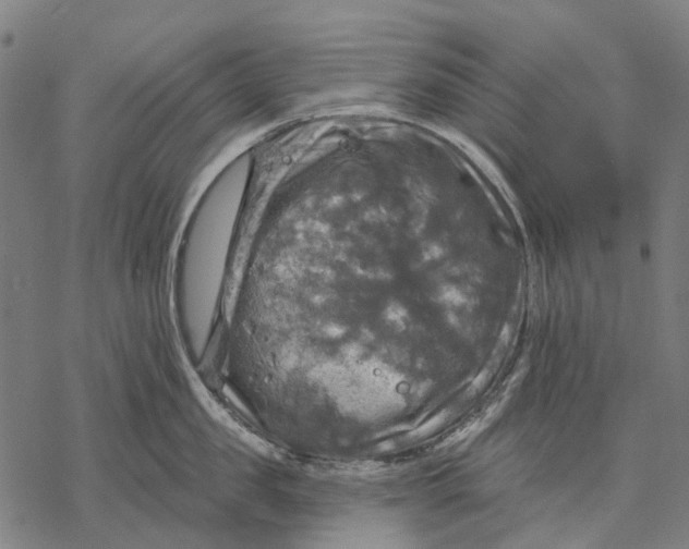 X0000068840957200605261637