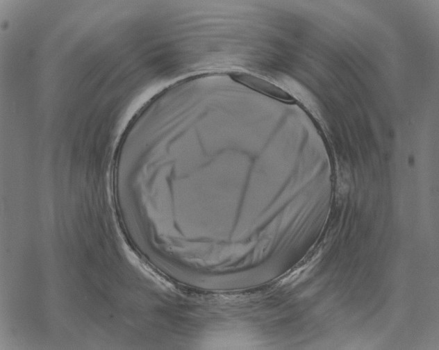 X0000068840958200605261637