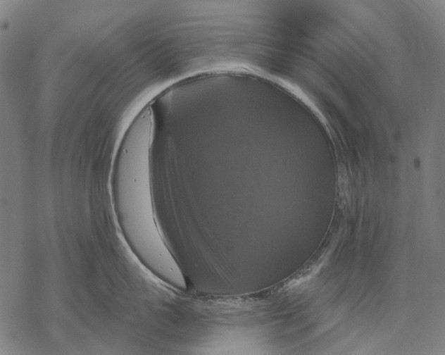 X0000068840959200605261637