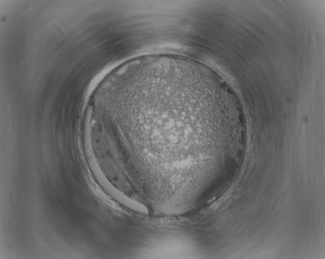 X0000068840960200605261637