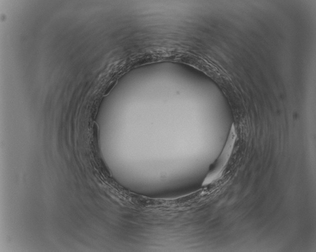 X0000068840961200605261636