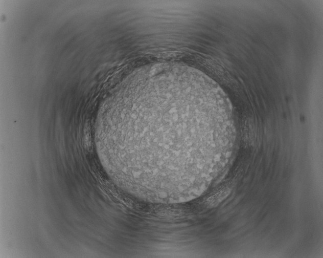 X0000068840962200605261636