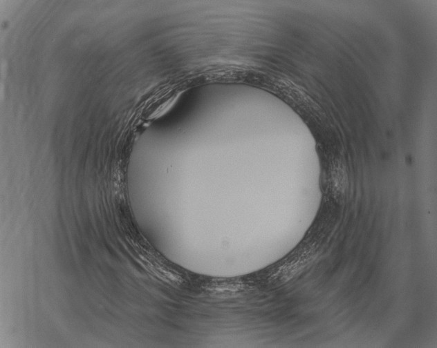 X0000068840964200605261636