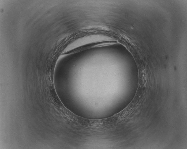 X0000068840965200605261636