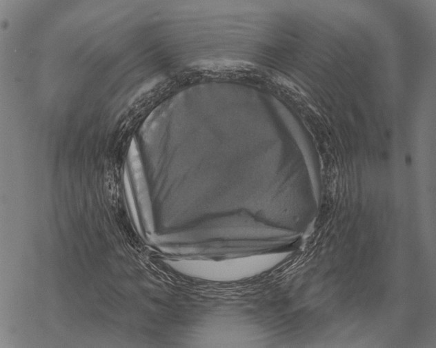 X0000068840966200605261636