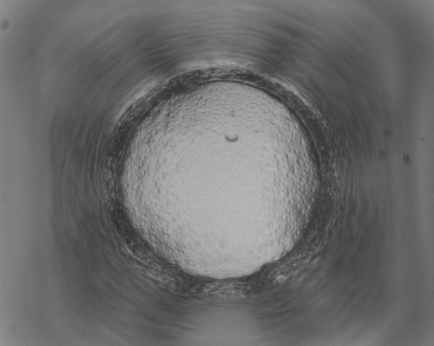 X0000068840967200605261636