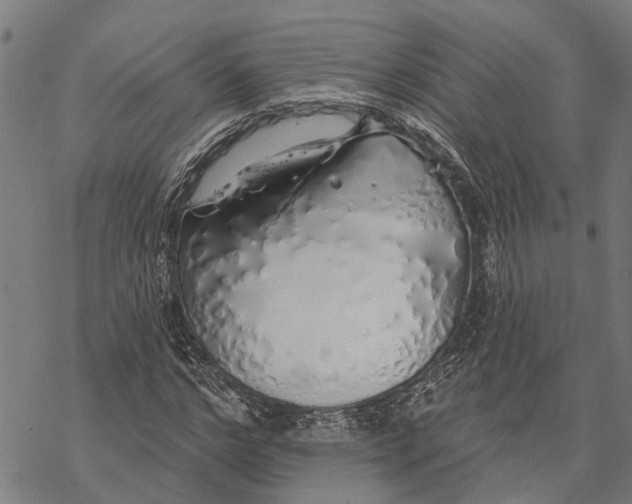 X0000068840968200605261636