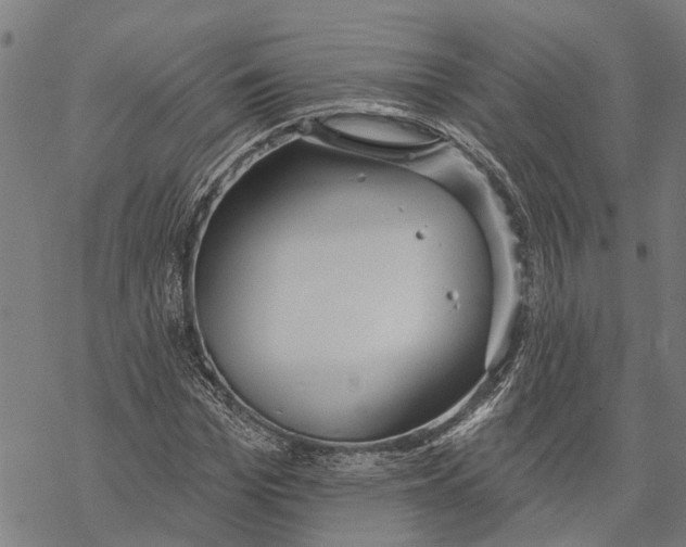 X0000068840969200605261636