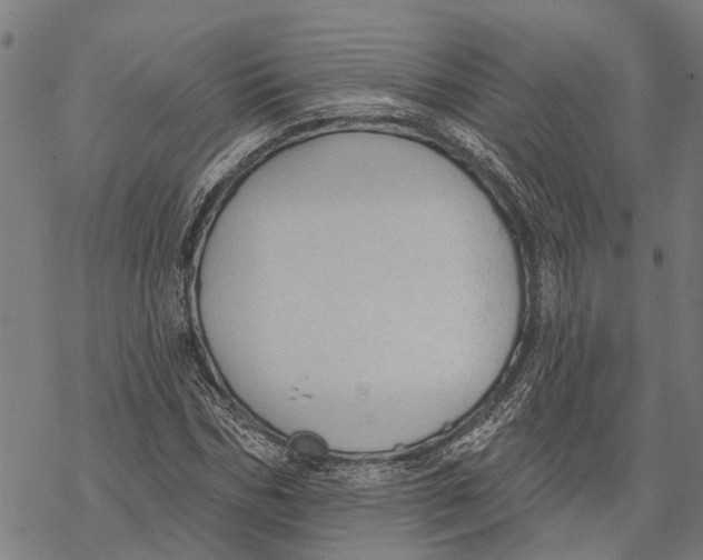 X0000068840970200605261636