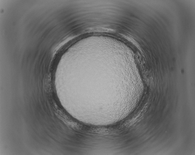 X0000068840971200605261636