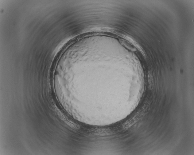 X0000068840972200605261636