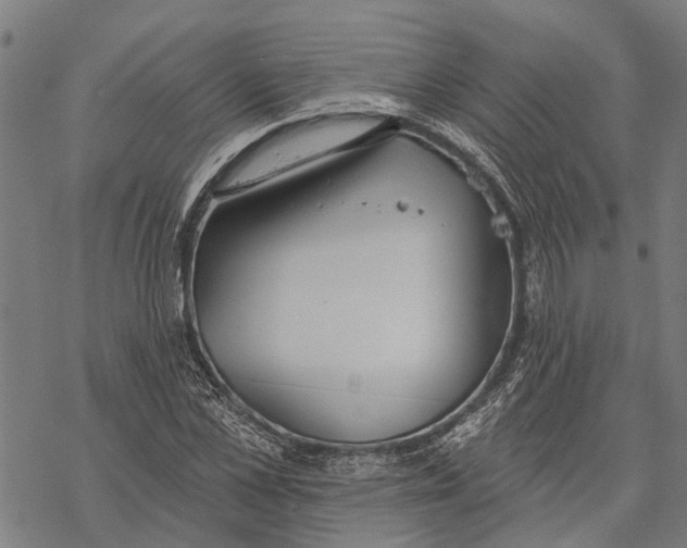 X0000068840973200605261636