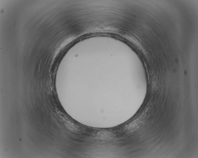 X0000068840974200605261636