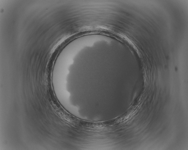 X0000068840975200605261636