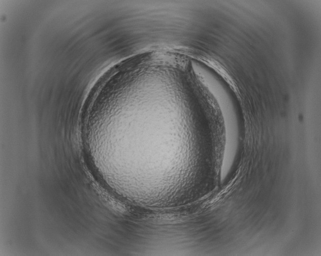 X0000068840976200605261636