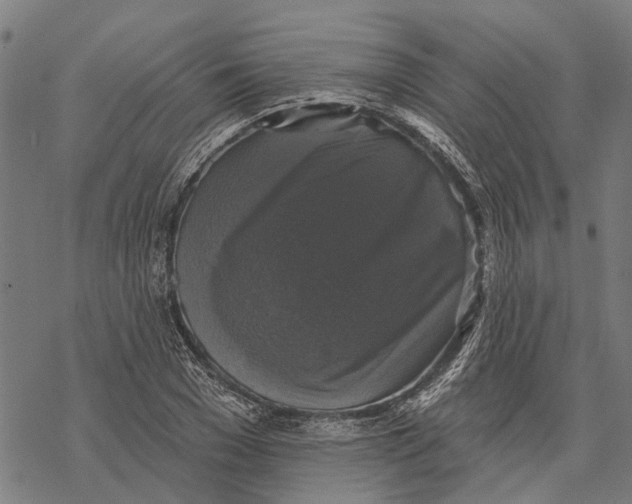 X0000068840977200605261636